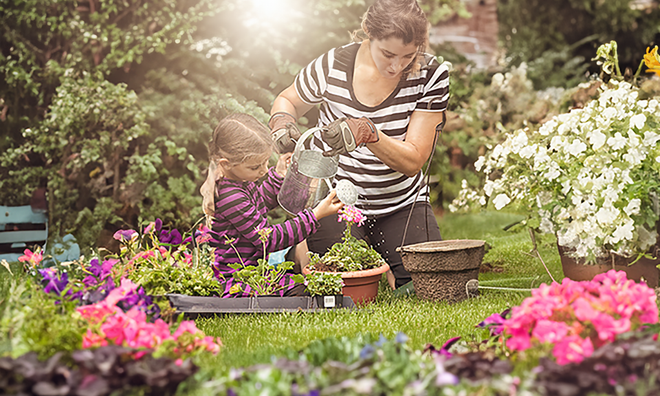 Bitkileri Sularken Nelere Dikkat Edilmeli?