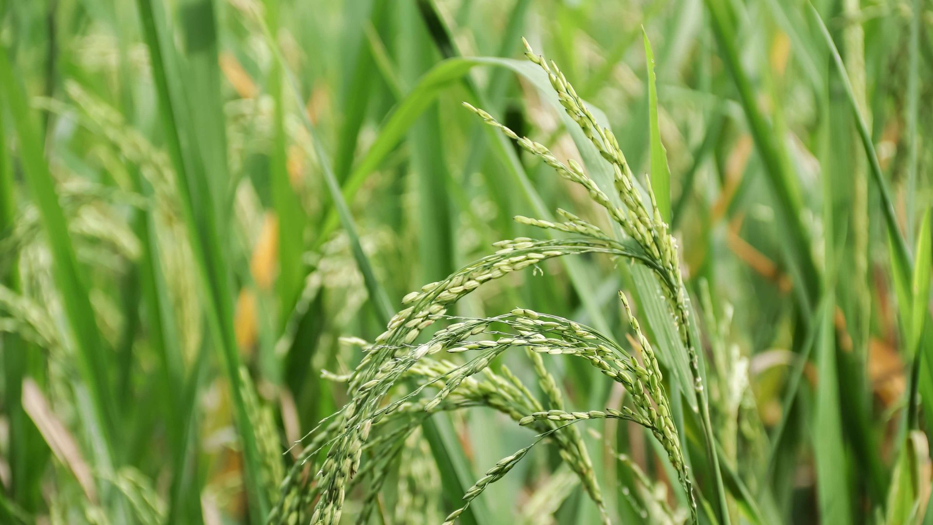 Dünya Su Günü: Gelecek Nesiller İçin Su Tasarrufu Neden Hayati?