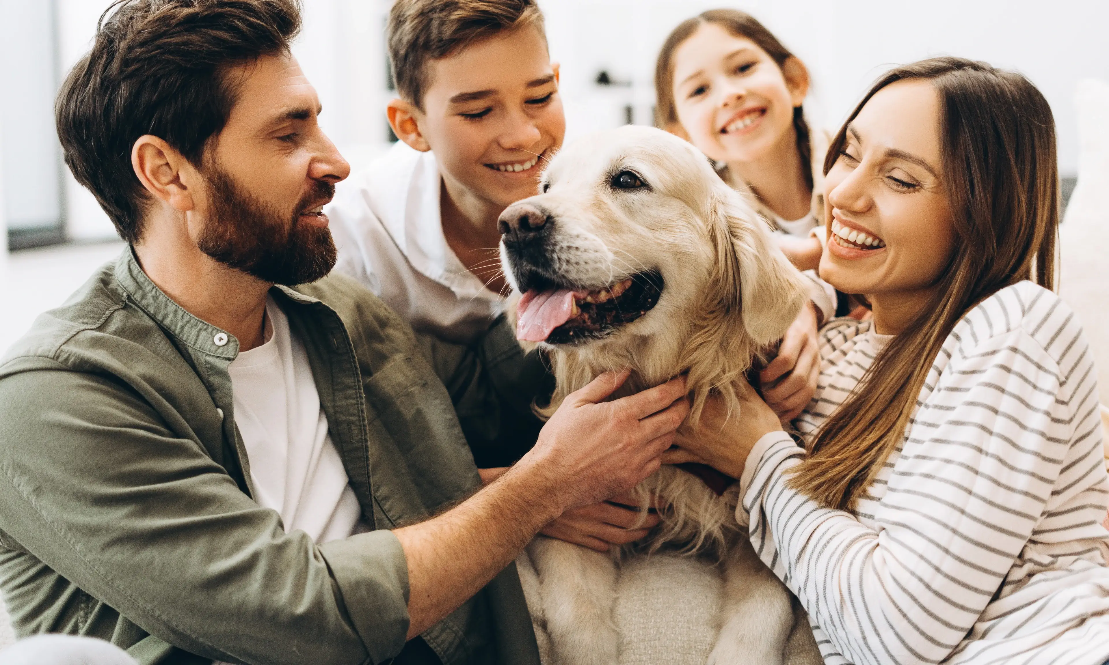 Evcil Hayvan Sahiplerine Özel Konfor Artıran Teknolojik Ürünler