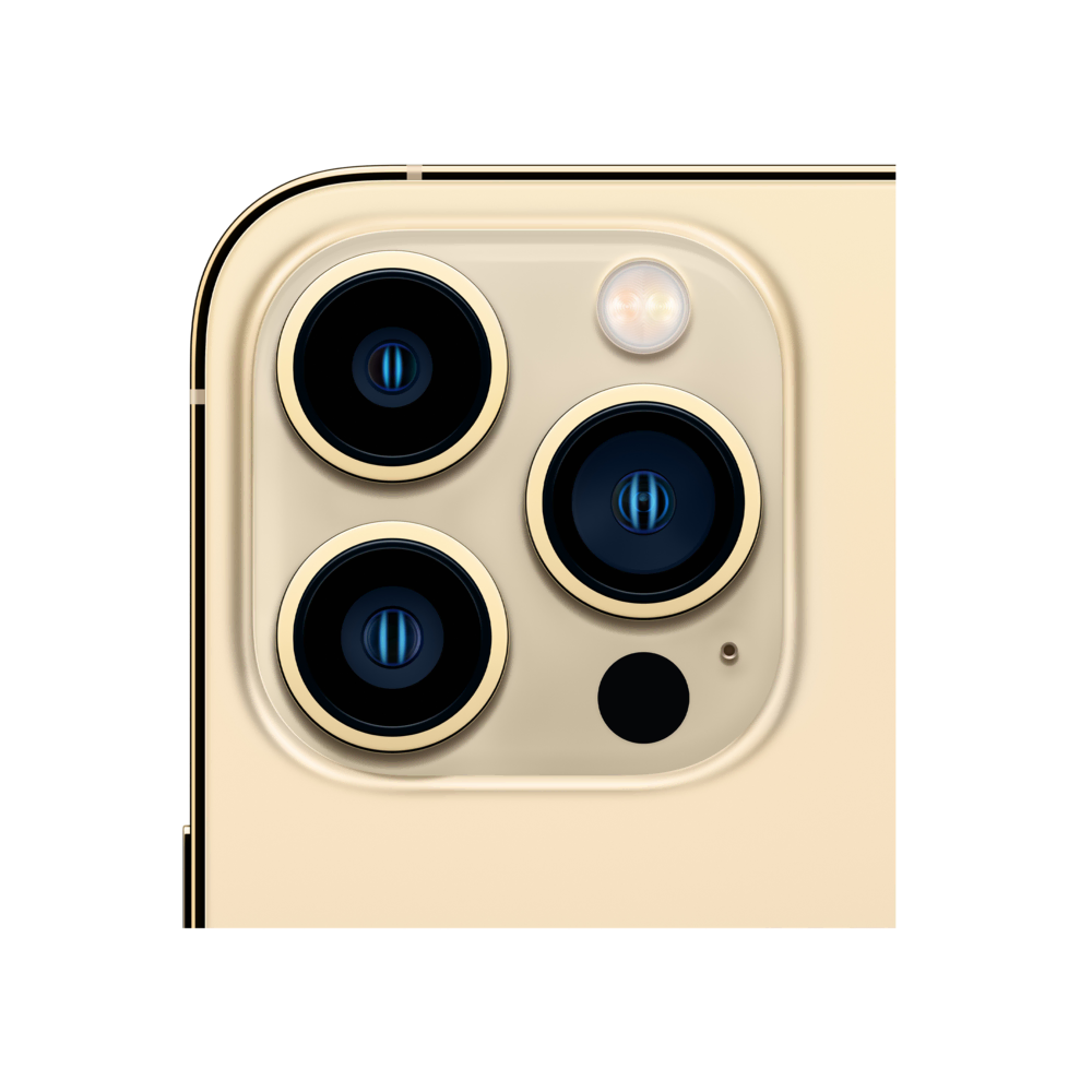 iPhone 13 Pro Max 1TB Altın iPhone