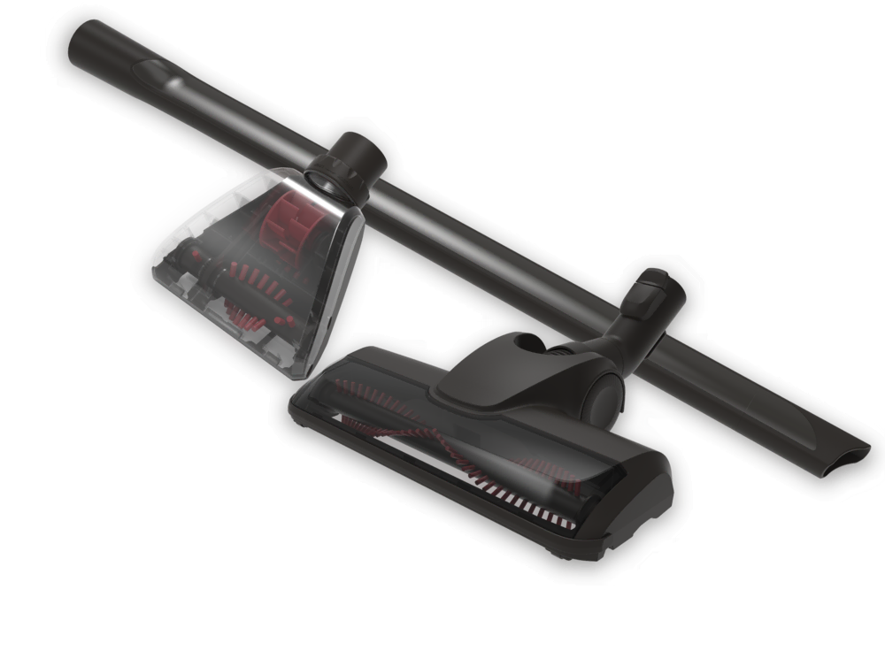 Evcil hayvan kiti Kitler