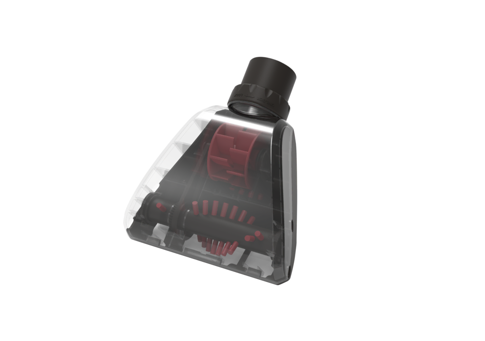 Evcil hayvan kiti Kitler