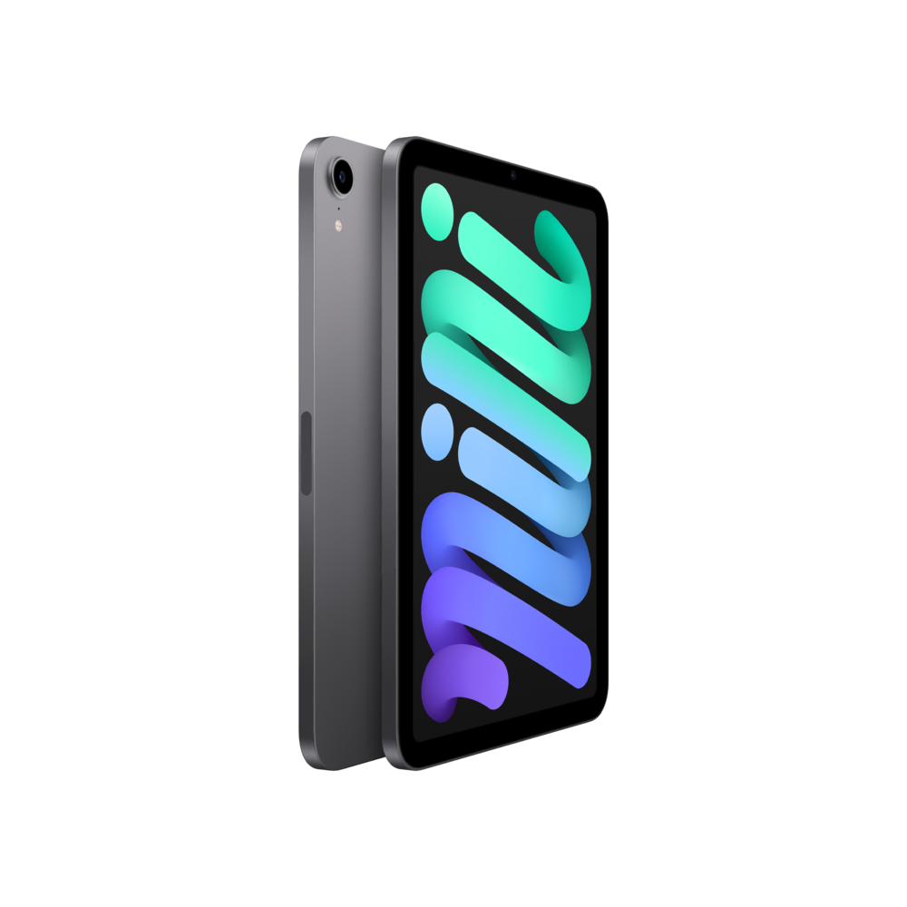 APPLE iPad mini 6N Wi-Fi 64GB Space Grey Tablet