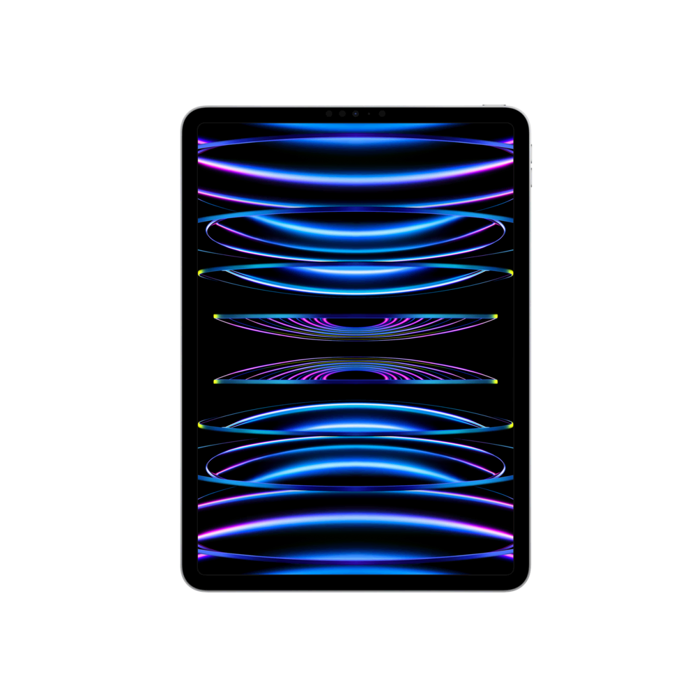 iPad Pro 11 (2022) WF 256GB Gümüş Tablet