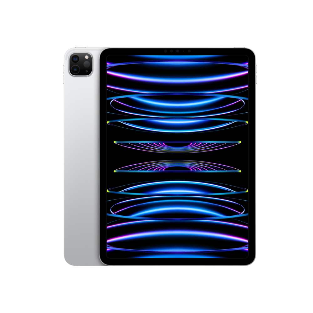 iPad Pro 11 (2022) WF 2TB Gümüş Tablet