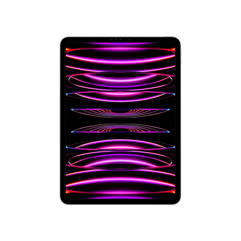 iPad Pro 11 (2022) WF-CL 2TB Uzay Grisi Tablet