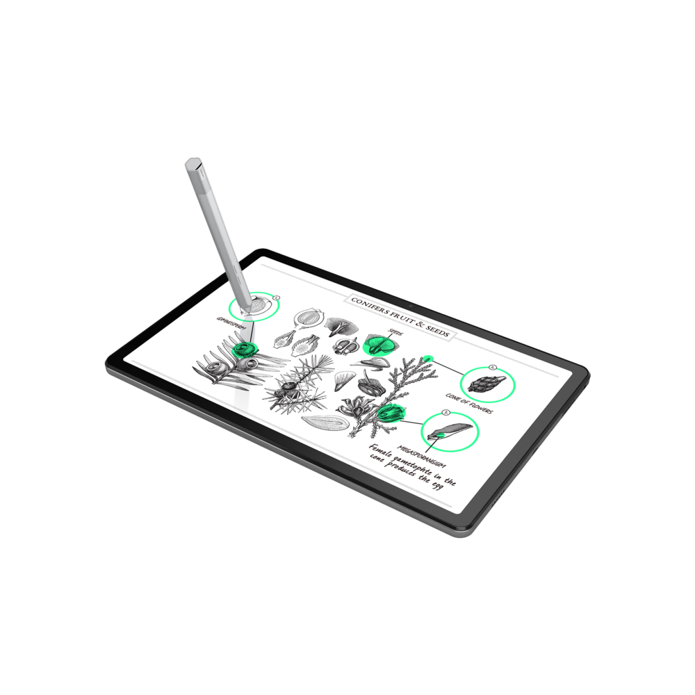 Lenovo Tab M10 Plus Gen 3 ZAAM0175TR Tablet