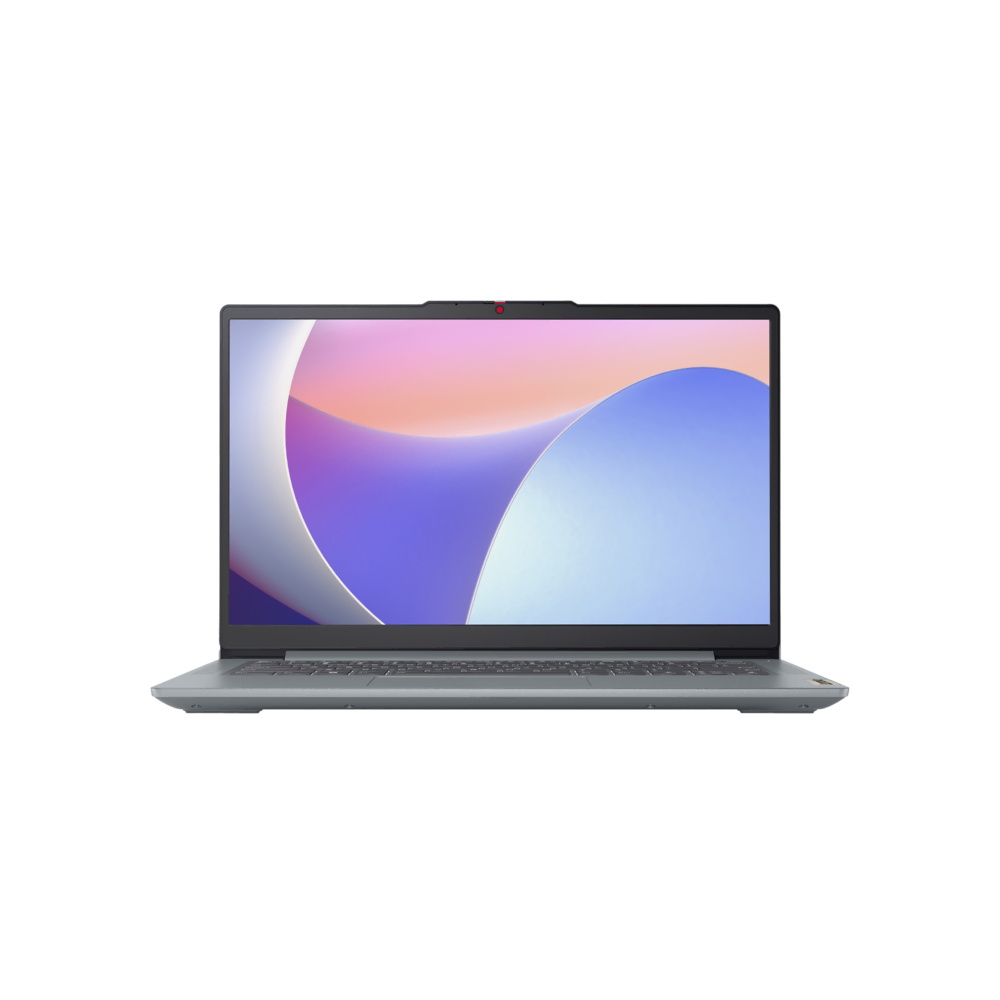 Lenovo N100 4 128 82XB009HTX Laptop