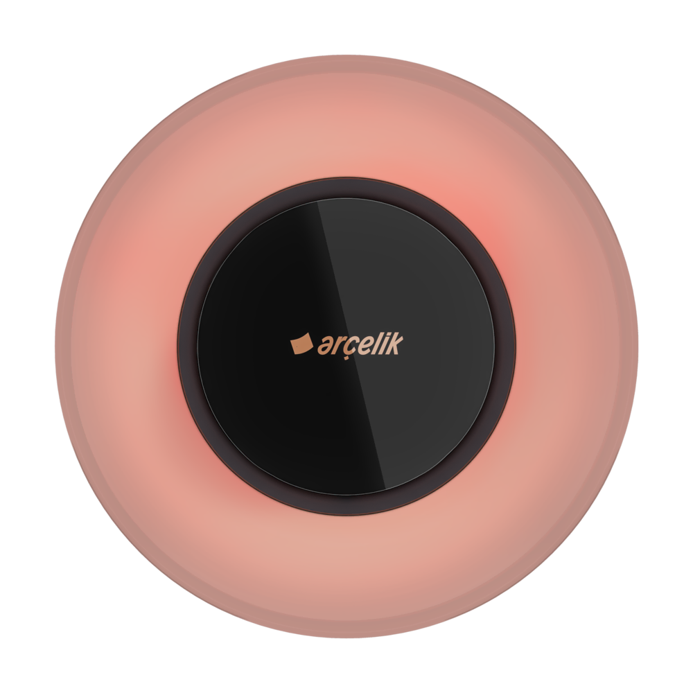 AAE 1016 S Akıllı Ev Elektroniği