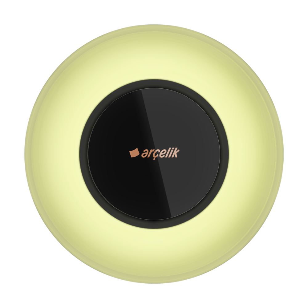 AAE 1016 S Akıllı Ev Elektroniği