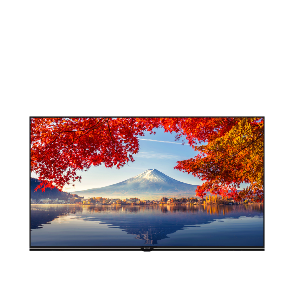 A40K 692G HOTEL TV Hotel Tv