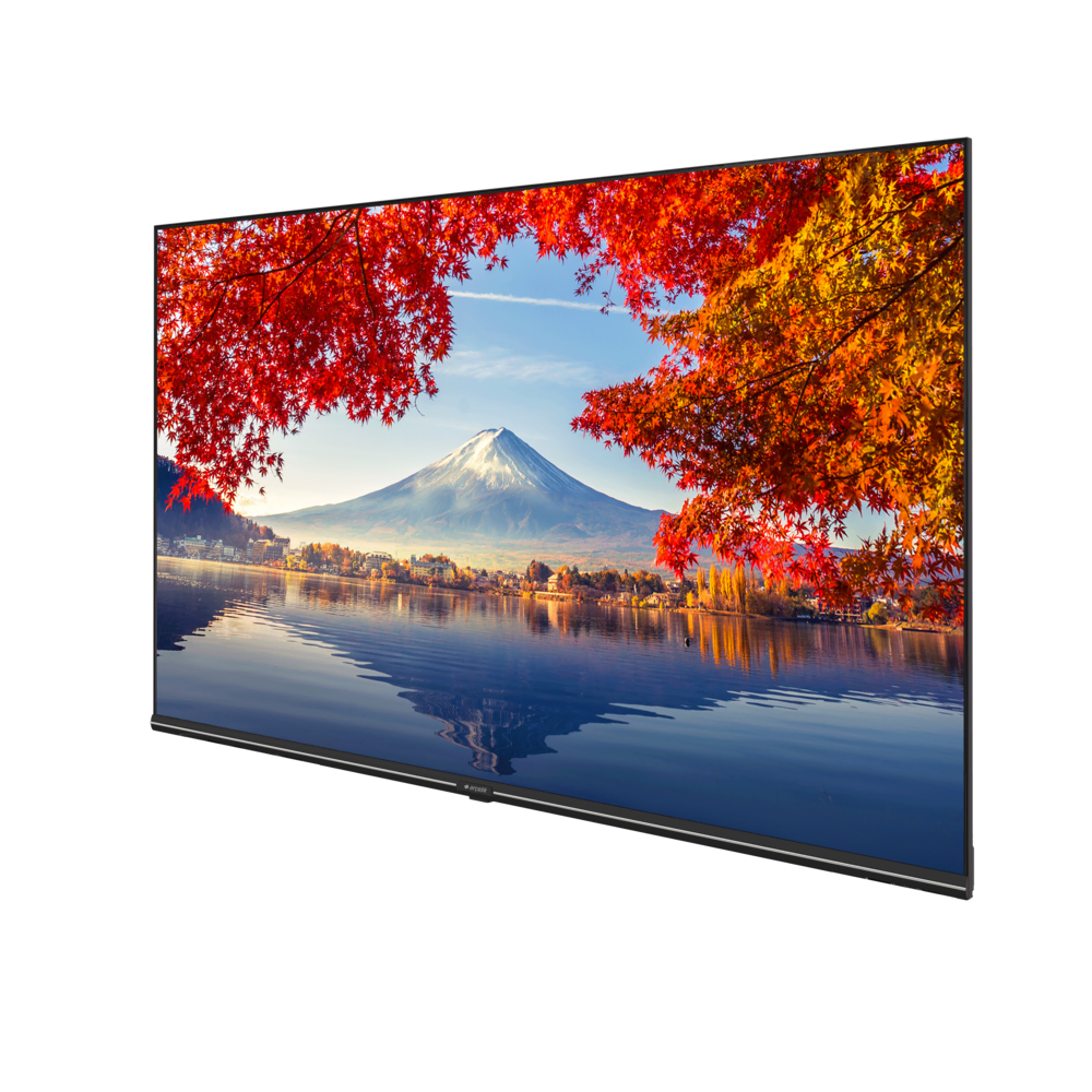 A43K 692G HOTEL TV Hotel Tv