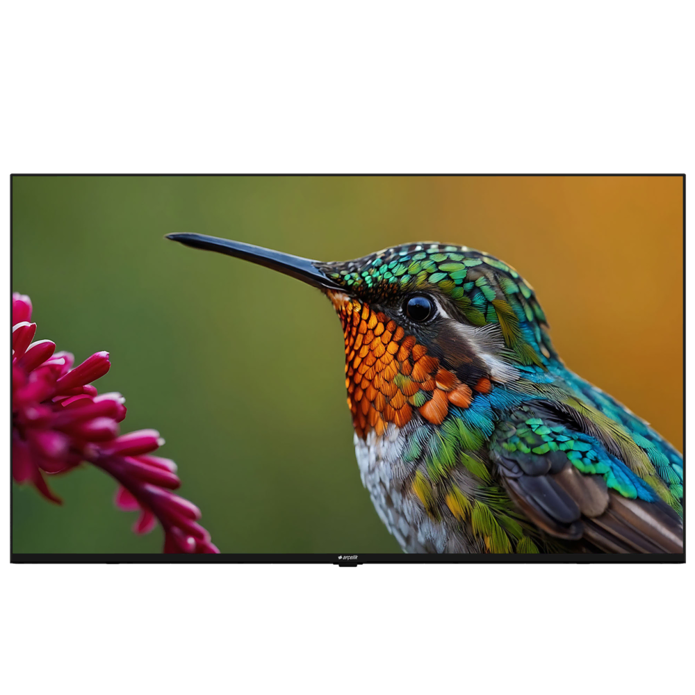 A55HU 500B2-A-BI Hotel Tv