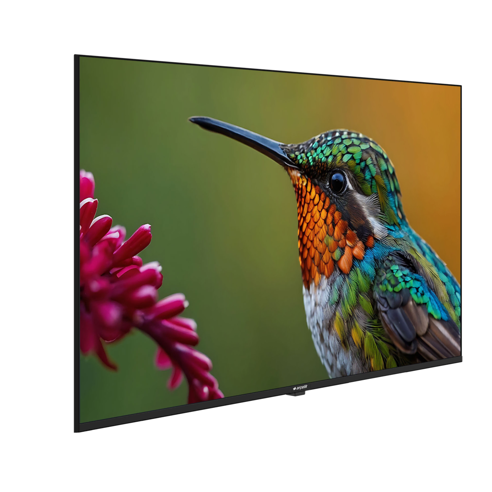 A55HU 500B2-A-BI Hotel Tv