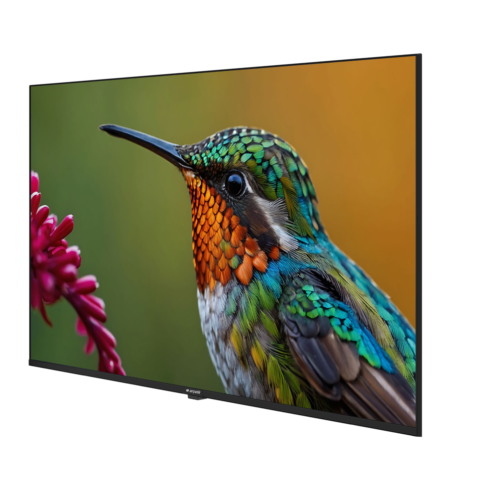 A75HU 500B2-A-BI Hotel Tv