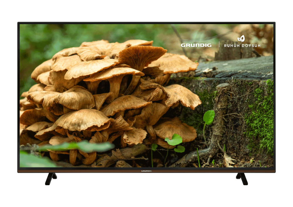 GRUNDIG PARIS 40 CLX 8675 BP 