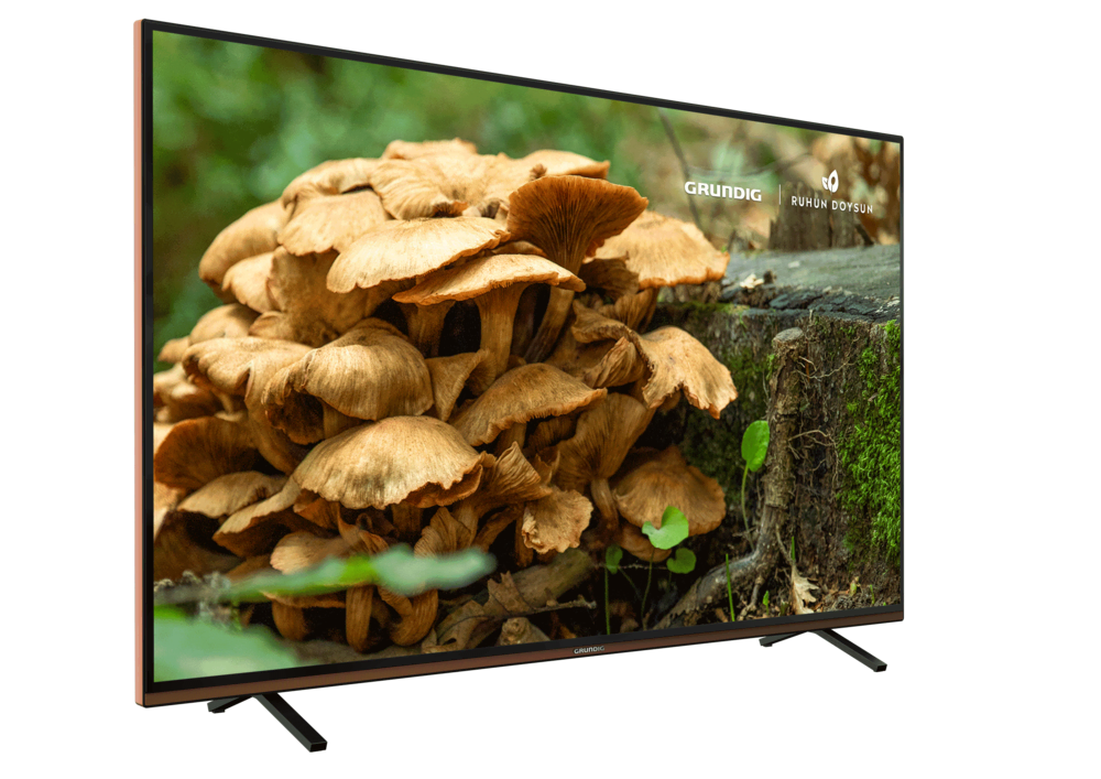 GRUNDIG PARIS 40 CLX 8675 BP 