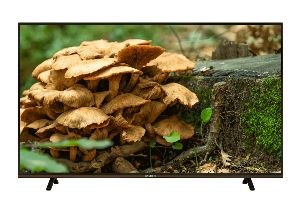 GRUNDIG PARIS 65 CLX 8675 BP 