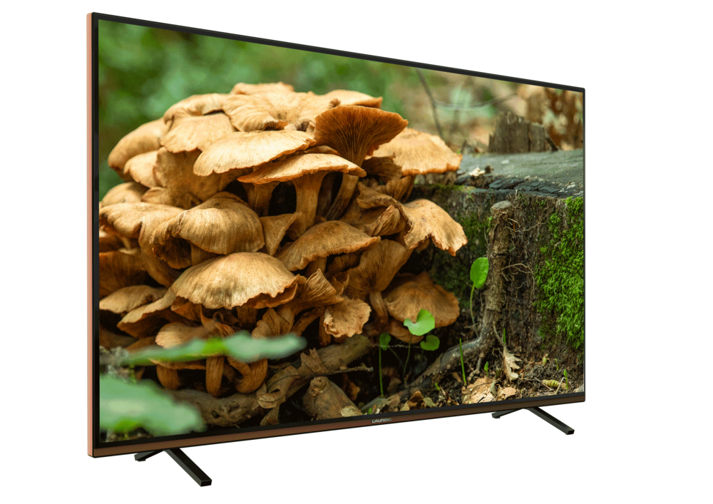 GRUNDIG PARIS 65 CLX 8675 BP 