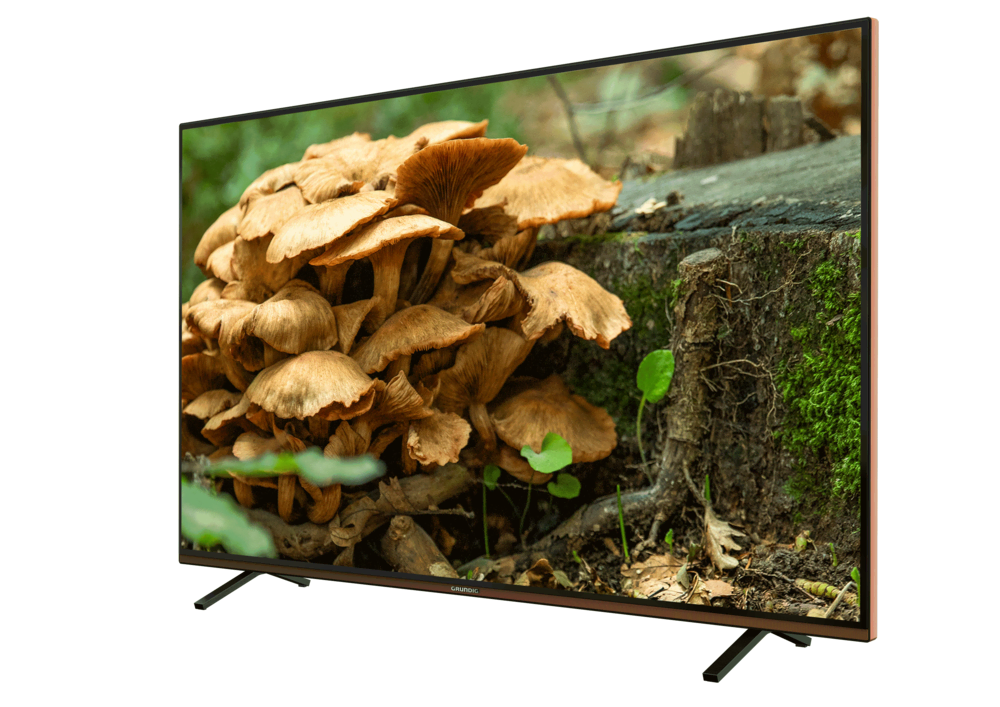 GRUNDIG PARIS 65 CLX 8675 BP 