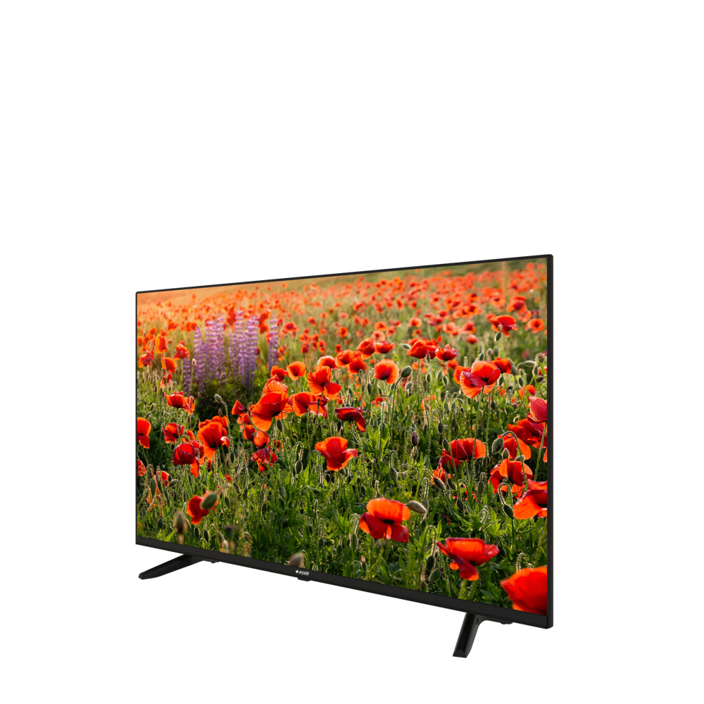 A55 B 800 B /55” 4K Smart 